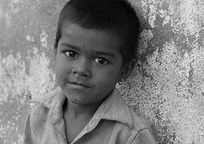 呼死你轰炸短信平台