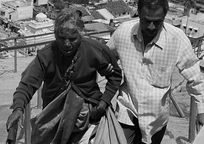 小七短信在线网页轰炸